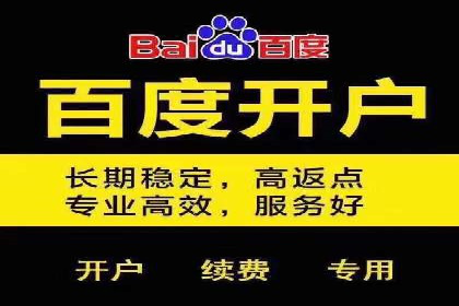 行业领先企业的百度广告推广费用揭秘